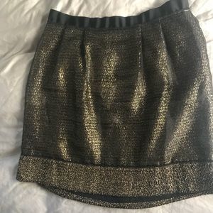 Ann Taylor Loft Skirt